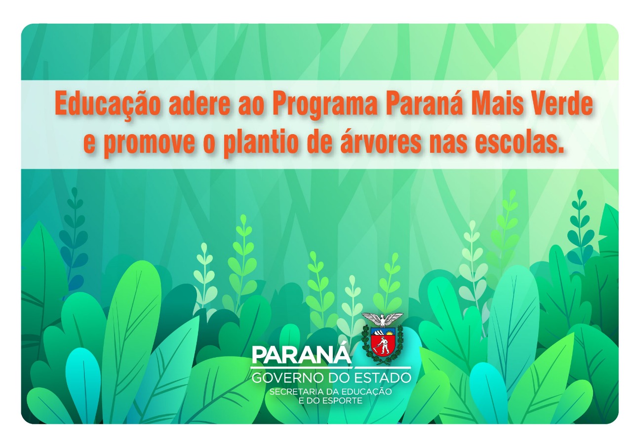 Programa Paraná Mais Verde vai distribuir mudas de árvores na rede estadual de ensino.