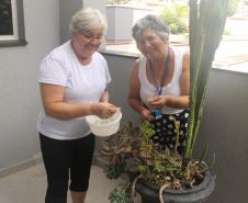 As funcionárias Elair e Maria Roseli conferem plantas e vasos espalhados pelo prédio.