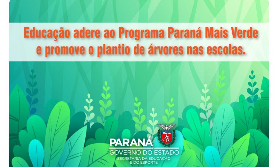 Programa Paraná Mais Verde vai distribuir mudas de árvores na rede estadual de ensino.