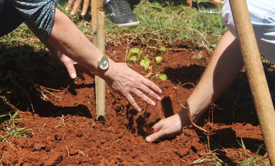 Escolas do NRE de Francisco Beltrão aderem ao Paraná Mais Verde