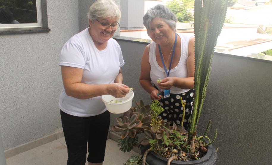 As funcionárias Elair e Maria Roseli conferem plantas e vasos espalhados pelo prédio.